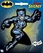 Search : DC Comics Batman Catwoman Die Cut Sticker 45164S