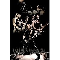 Metallica (Live Collage) Music Poster Print