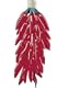 Bethlehem Lighting Indoor/Outdoor Chili Pepper Cluster 35-Light Set