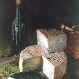 Cabrales Blue Cheese from Asturias, D.O.
