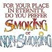 Smoking Or Non-Smoking Adult T-Shirt