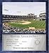 Network Associates Field (Oakland Athletics) 12