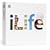iLife '09