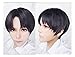 Kadiya 35cm Short Straight Attack on Titan Levi Rivaille Anime Fans Cosplay Wig