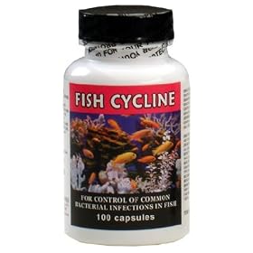 Fish Cycline (Tetracycline) 250mg (100 capsules)