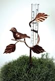 Decorative Bronze Metal Bird Rain Gauge