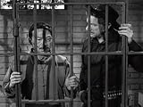 The Prizefight Story
