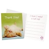 rachaelhale Glamour Cats Thank-You Notes (8) Party Supplies