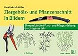 Ziergeh&ouml;lz- und Pflanzenschnitt in Bildern: Eine praktische Pflanz- und Pflegeanleitung durchs ganze Jahr - Hans Heinrich M&ouml;ller