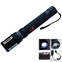 Defense Flashlight electric shock LED torch,801 stun gun 9,000,000 Volt