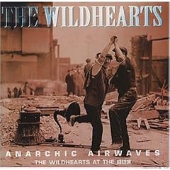 Anarchic Airwaves [12 inch Analog]