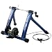 Minoura 850 Mag Trainer w/ Remote