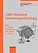 Cmv-Related Immunopathology (Monographs in Virology)