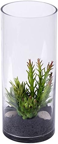 Home decor, Holiday decorations, Floral, 12" Cyclinder with Succulent Plants