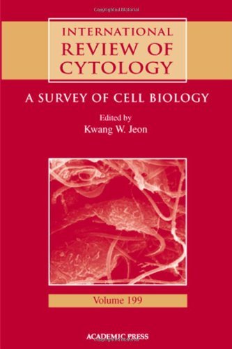 International Review of Cytology: 199 (International Review of Cell and Molecular Biology)
