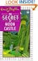 THE SECRET OF MOON CASTLE