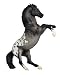 Rearing Appaloosa - Blue Roan