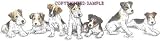 Fox Terrier - Puppies in a Row by Cindy Farmer