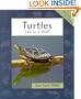 Turtles (Animals in Order)