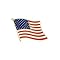 Flag Pin Set of 10