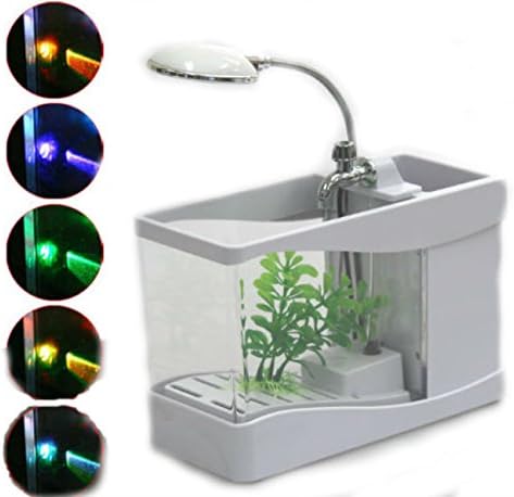 Mini Desktop White Fish Tank USB Aquarium LED Table Lamp w/ Accessories Holder