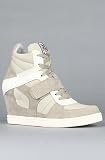 Ash Shoes The Cool Sneaker in Clay and White Suede Washed Canvas - Sneakers for Women