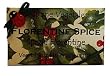 Alchimia Ladybug Natural Florentine Spice Large 10.6 Oz. Single Soap Bar From Italy