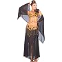 Harem Dancer Costume