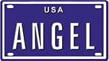 417GuDzJ6lL. SL160  Angel USA mini metal embossed license plate name for bikes, tricycles, wagons, kids doors, golf carts, baby strollers, pedal cars. Over 400 names available. Type in name usa plate in search. Your name will show up.