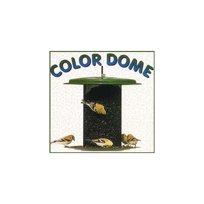 Dome Feeder in Green