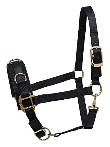 Perri's Nylon Lunge Caveson, Black