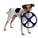 Pet Supplies : Omega Paw Blue Orbit Flying Disk Jr.
