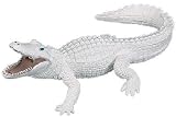 White Alligator