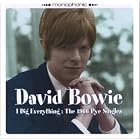 Click here to buy I Dig Everything: 1966 Pye Singles by  David Bowie .