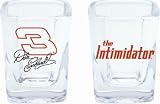 Dale Earnhardt Nascar Shot Glass