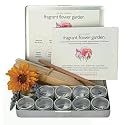 Fragrant Flower Garden Seed Kit