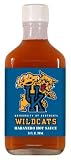 Kentucky Wildcats Habanero Hot Sauce (6.6oz flask)