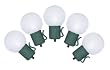 Set of 10 Battery Operated Sugared White LED G30 Christmas Lights - Green Wire