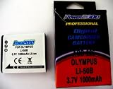 Power 2000 ACD286 Rechargeable Battery