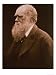 Charles Darwin Giclee Poster Print by Julia Margaret Cameron, 24x32
