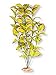 Vibran-Sea Flowering Willow Leaf Silk-Style Aquarium Plant, Large 13-14 tall, Yellow