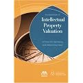 Fundamentals of Intellectual Property Valuation (Everyday Business Issues And Questions On Value And Valuation) (Illustrated) (Paperback)