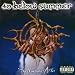 40 Below Summer-Morning After
