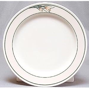 Mayer China (American) 10 Inch Dinner Luncheon Plate by