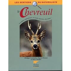 Le Chevreuil : Description, comportement, vie sociale, expansion, observation...