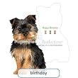 Paper House Productions Silky Terrier Birthday Card
