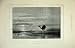 1877 Fine Art Sea Aral Sunset Camel Birds Nature Print