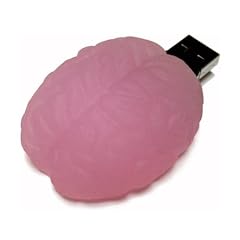 Gehirn Memory Stick