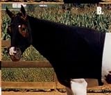 Weaver Equiskin Lycra Hood sleazy slinky large black