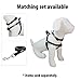 Pawtitas Pet / Puppy 6 - feet Reflective Dog Leash Extra Small / Small 5/8 inch Black Matching Collar and Harness sold separately.